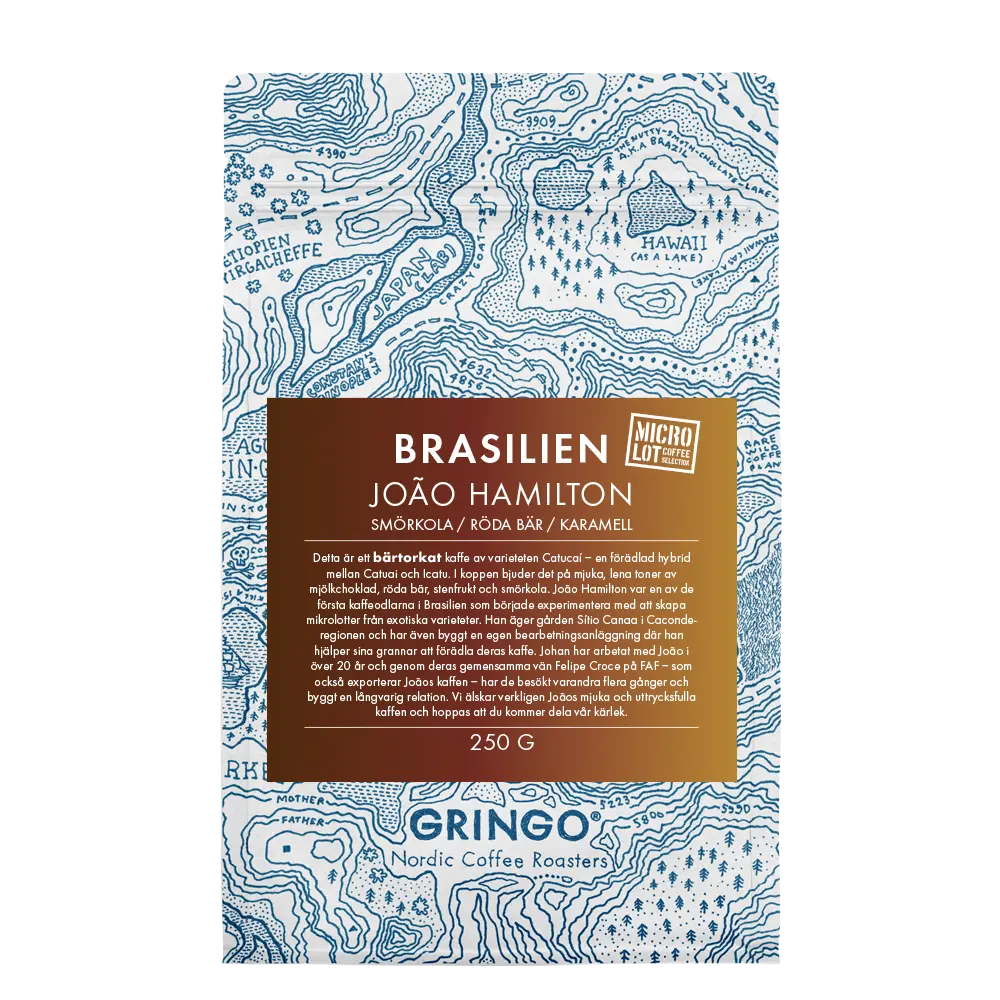 Gringo Brazil João Hamilton Mikrolot