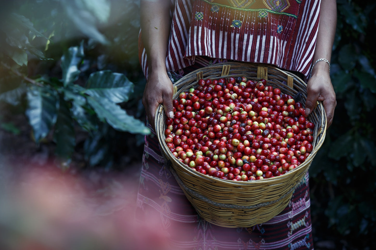 Coffea.fi