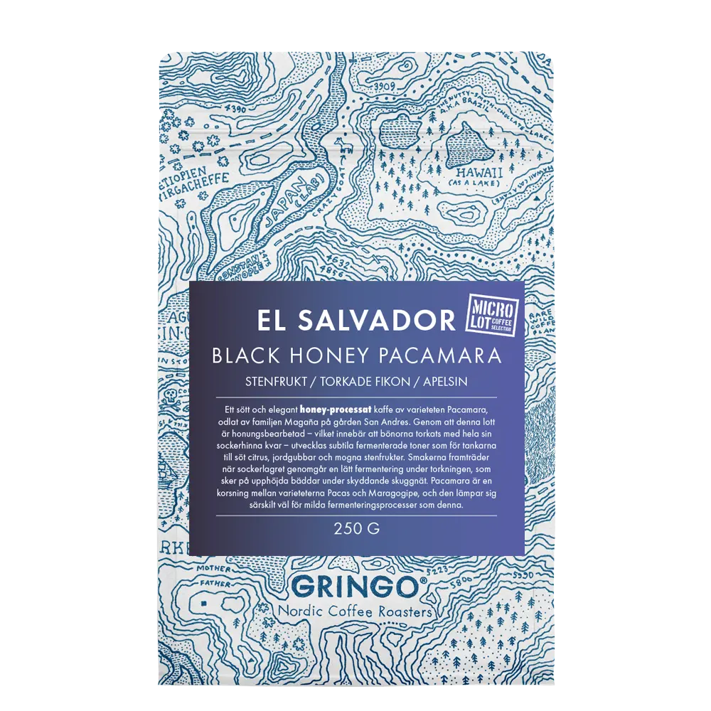 Gringo El Salvador Black Honey Pacamara Mikrolot